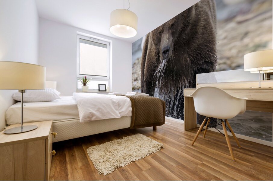 Coastal Brown Bear 8027 Mural print