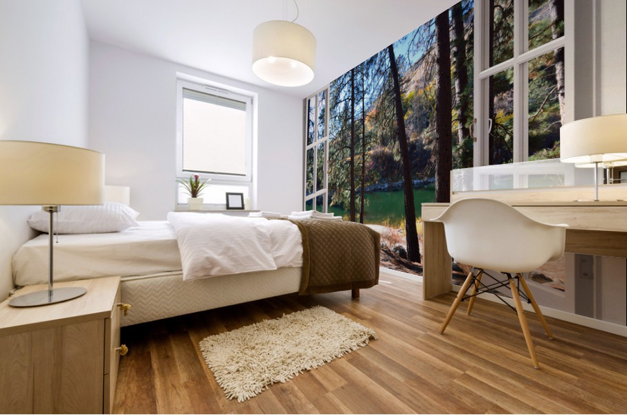 Sandy River Bank Afternoon Walk Mural print