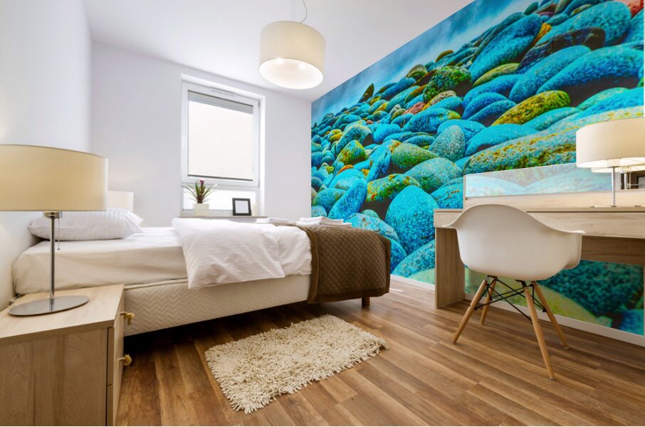 Viking Shore Mural print