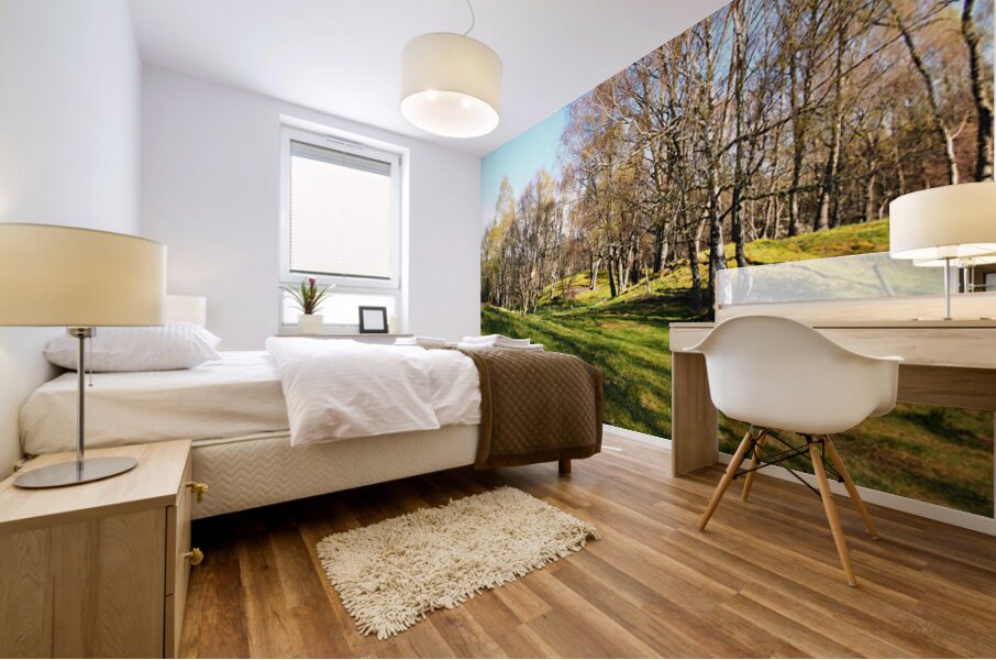 Spring Serenity in the Scottish Highlands                                                                                                                      Mural print