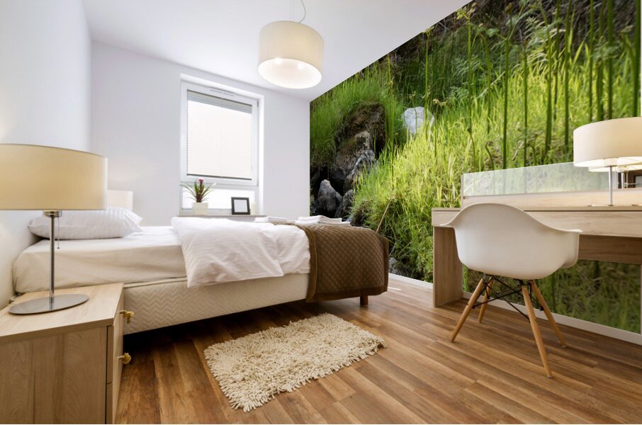 Scottish Highlands Summer Nature Walk Mural print