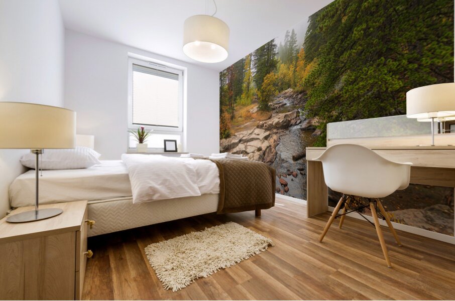 Upstream St Vrain Mural print