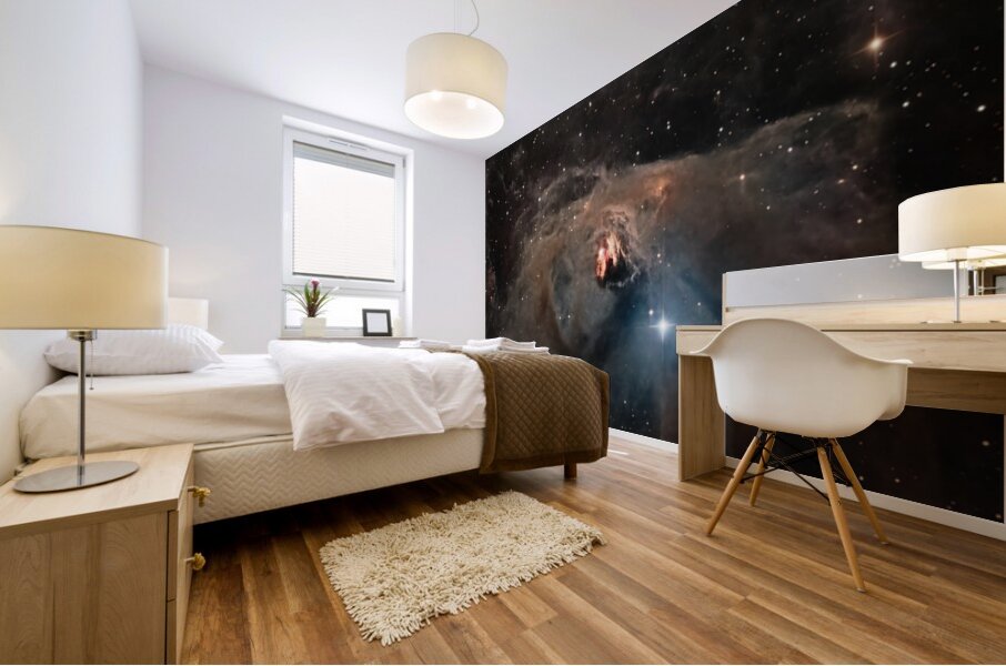 NGC 1555 Mural print
