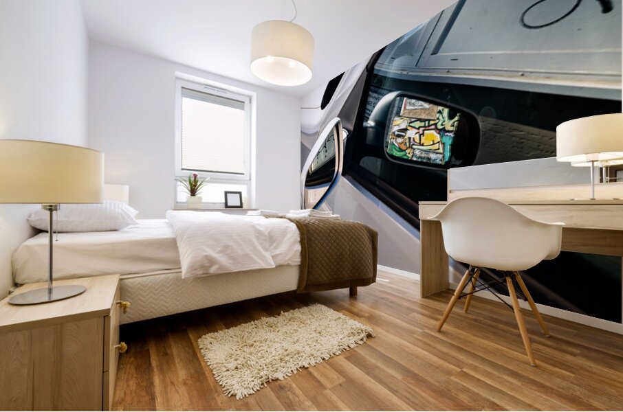 Double Mirror Mural print