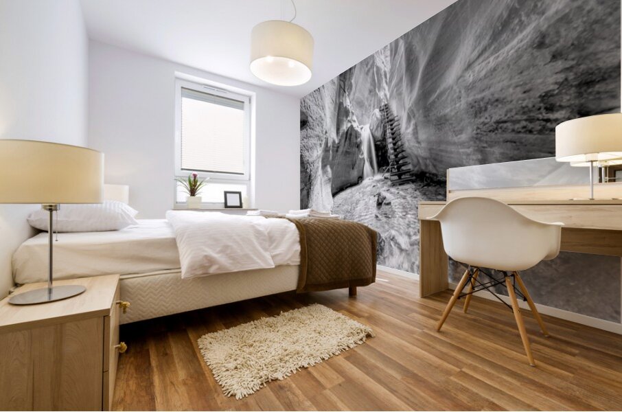 Glowing Kanarra Falls Staircase Grayscale Mural print