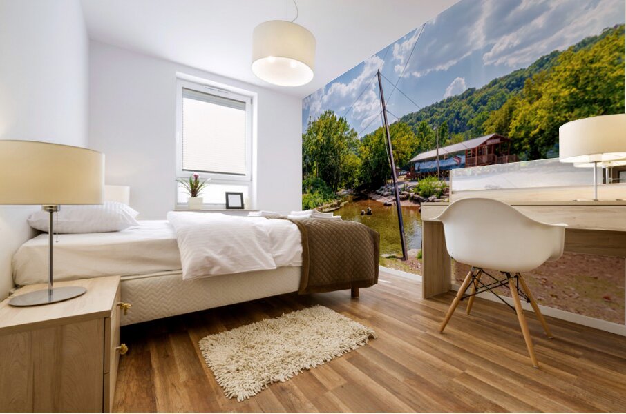 Rope Swing Big Spring Arkansas Mural print