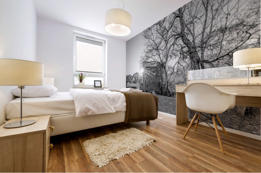 Evening Sunburst Topaz Mill Grayscale Mural print