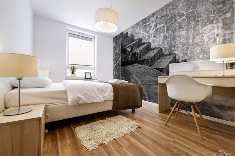 Cape Disappointment Battery 247 steps in B&W Mural print