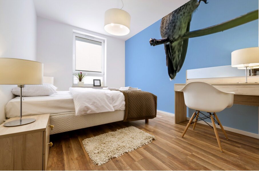 Perched hummingbird waving foot Mural print