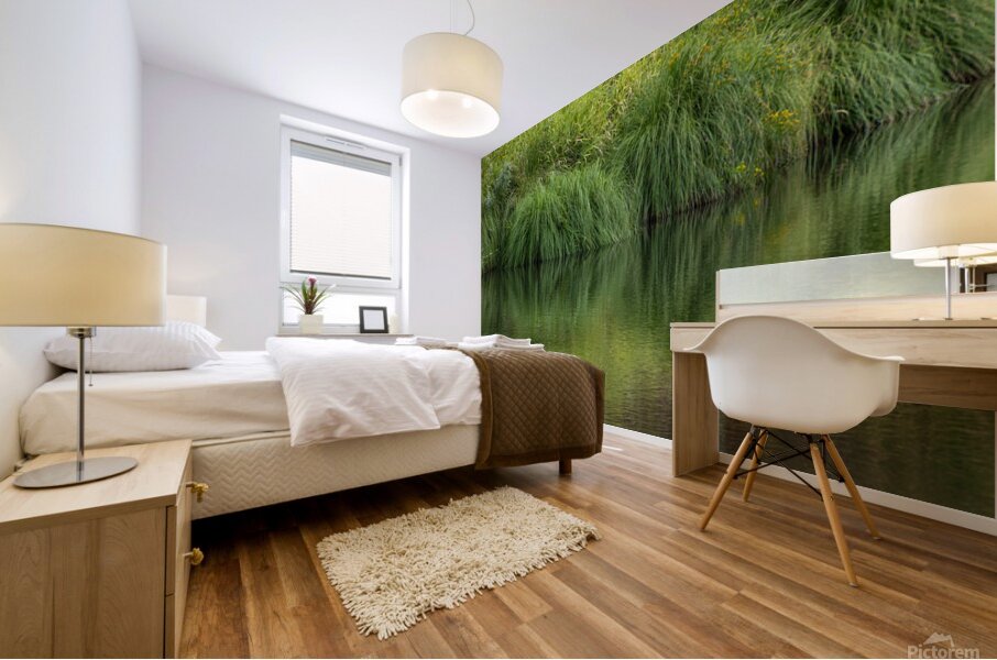 Dramatic green reflections of riverside plants Mural print
