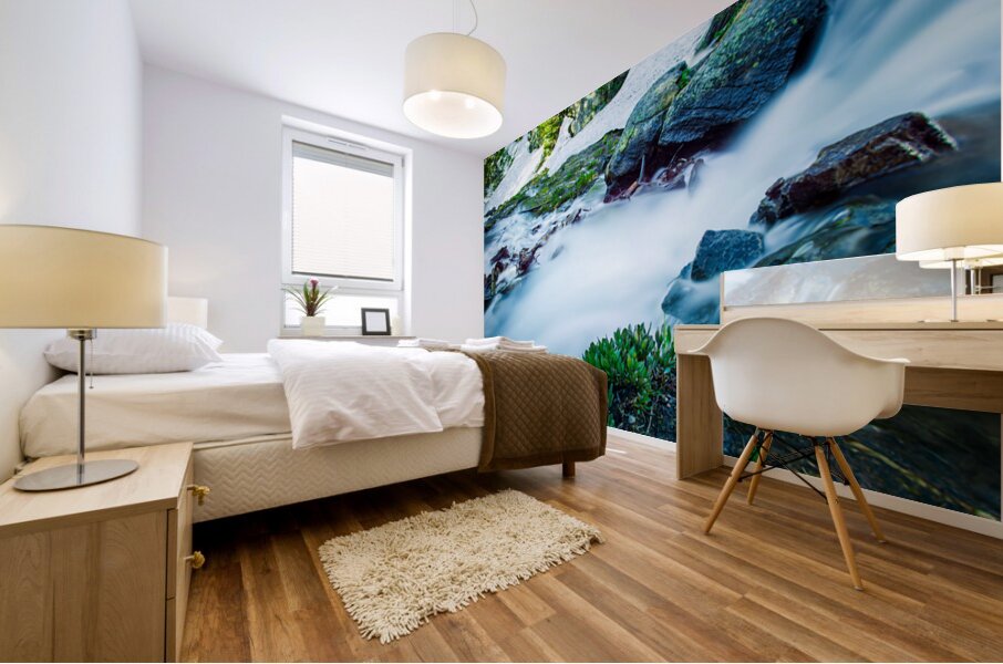 Small Stream From Snow Melt In Rocky Mountain National Park Colo Mural print