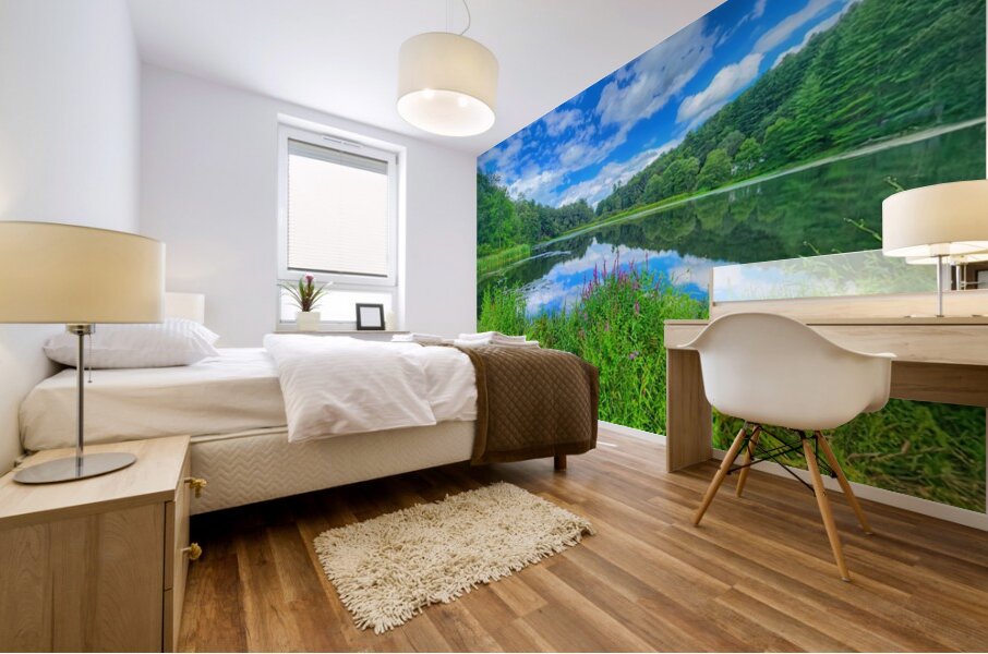 08Aug Eastbury Pond Mural print