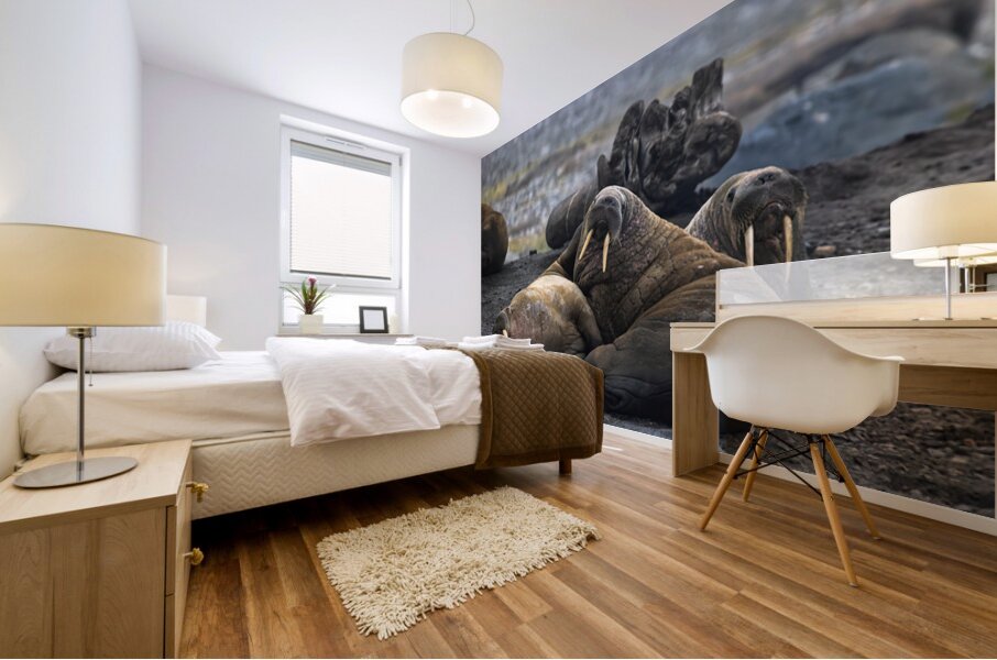 WALRUS TRIO Mural print