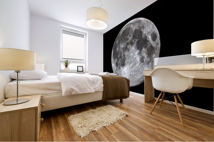 Astronight Astrophotography 1 Mural print