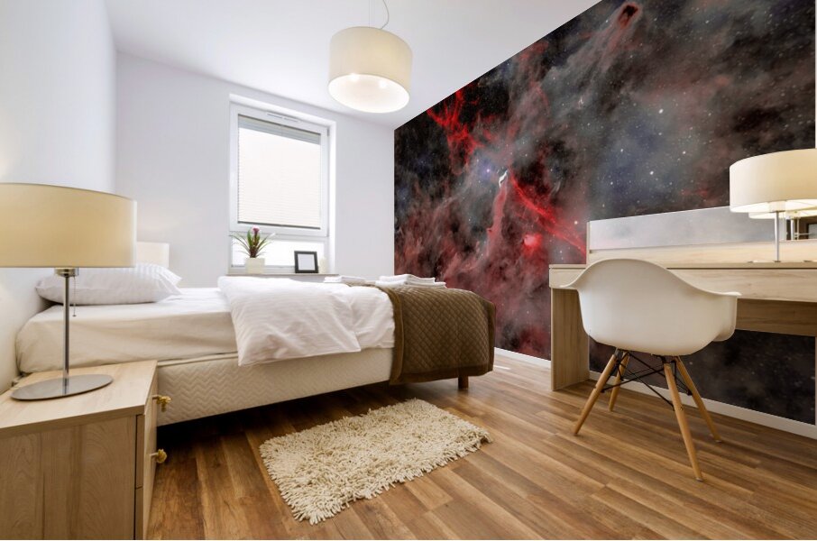 Astronight Astrophotography 8 Mural print