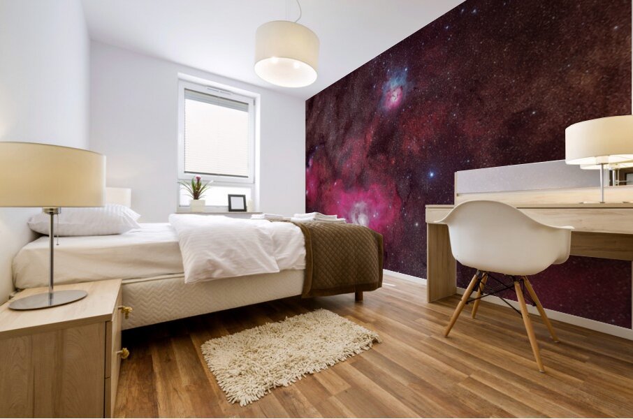 Astronight Astrophotography 10 Mural print