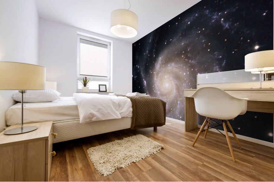 Pinwheel Galaxy Mural print