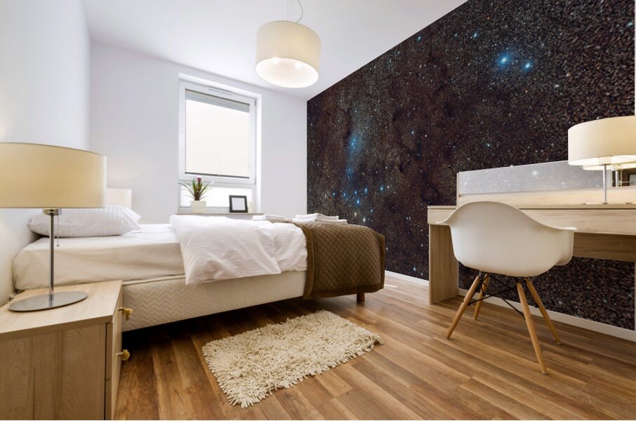 Veil of Dust and Stars Mural print