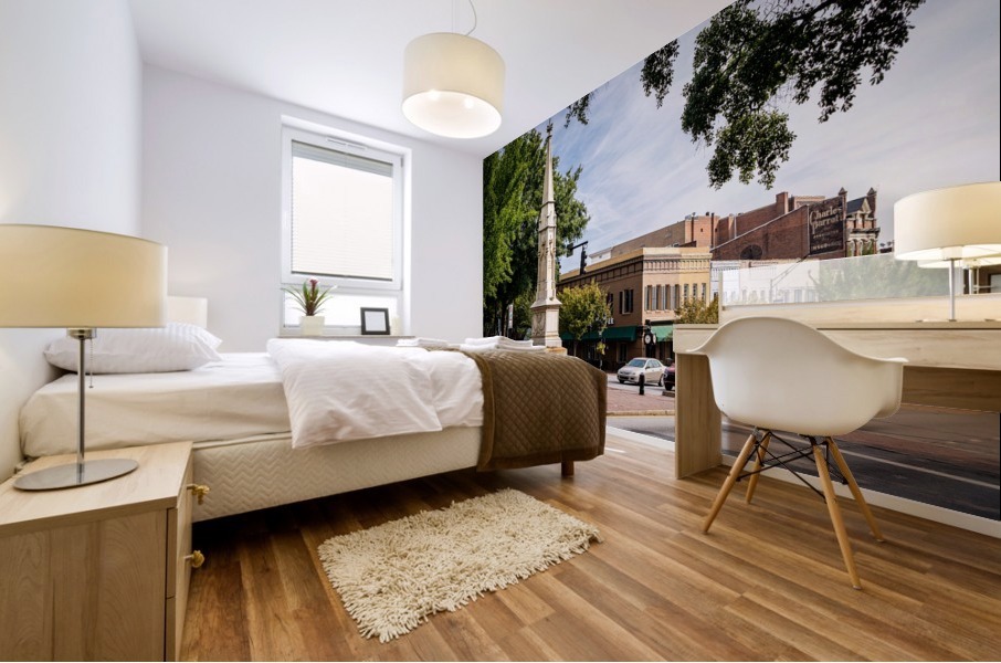 Confederate Monument Downtown Athens GA 9614 Mural print