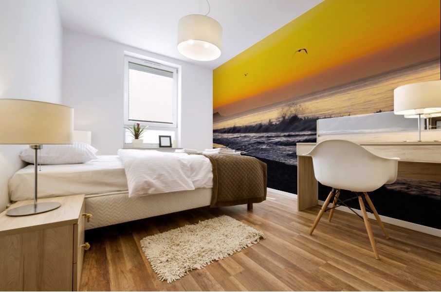 Seagull Sunrise Mural print