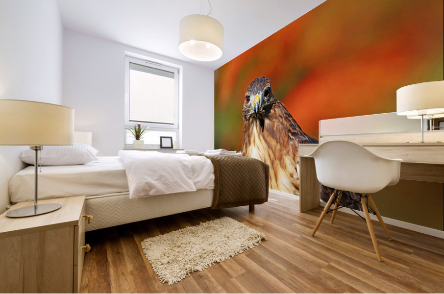 Red Tailed Hawk Stare Mural print