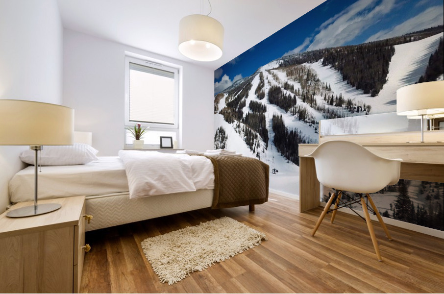 Mid Mountain Views Mural print