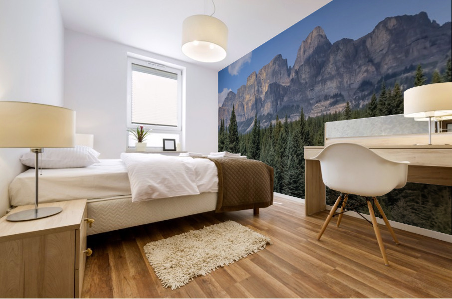 Canadian Rockies 3 Mural print