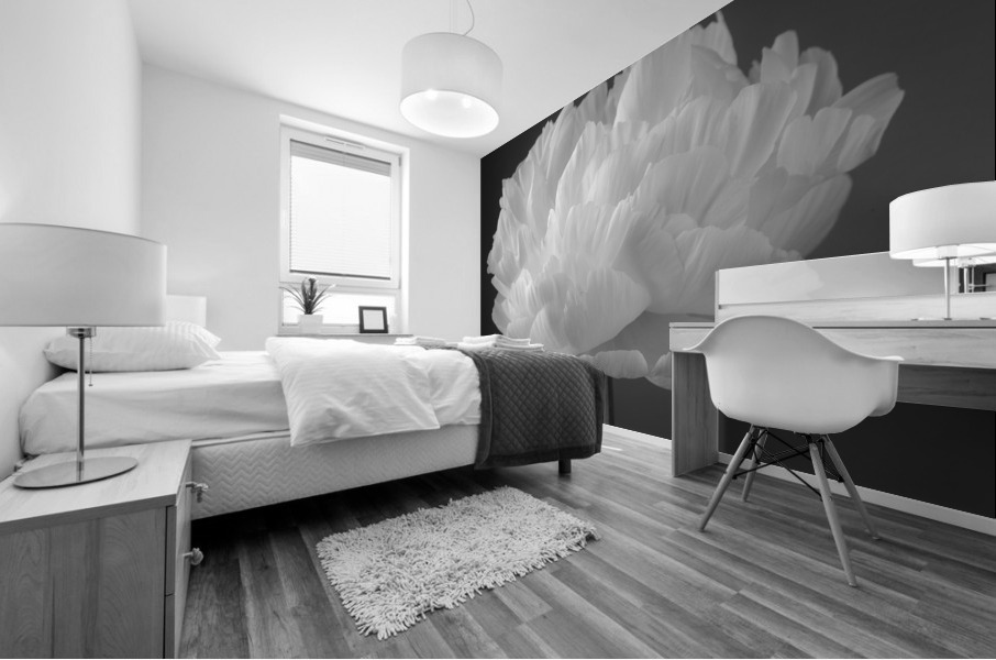 Peony flower Mural print