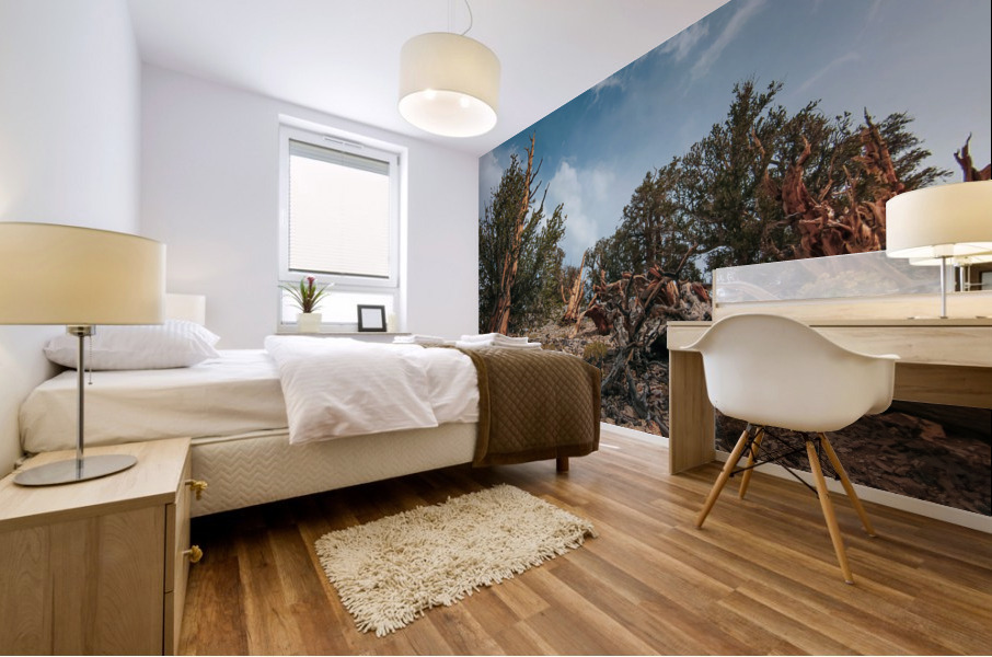 To The Top Mural print