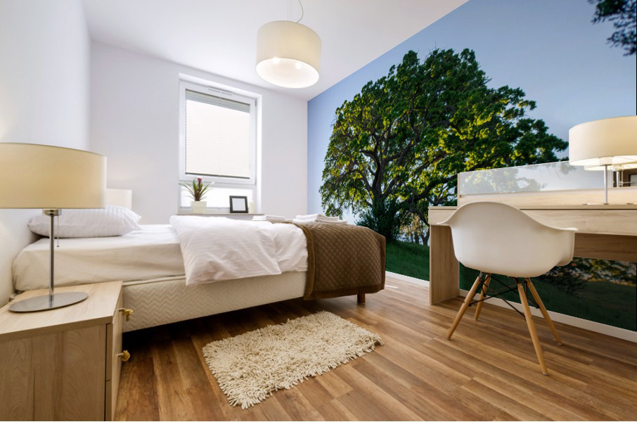 20190418 DSC 0043 Mural print