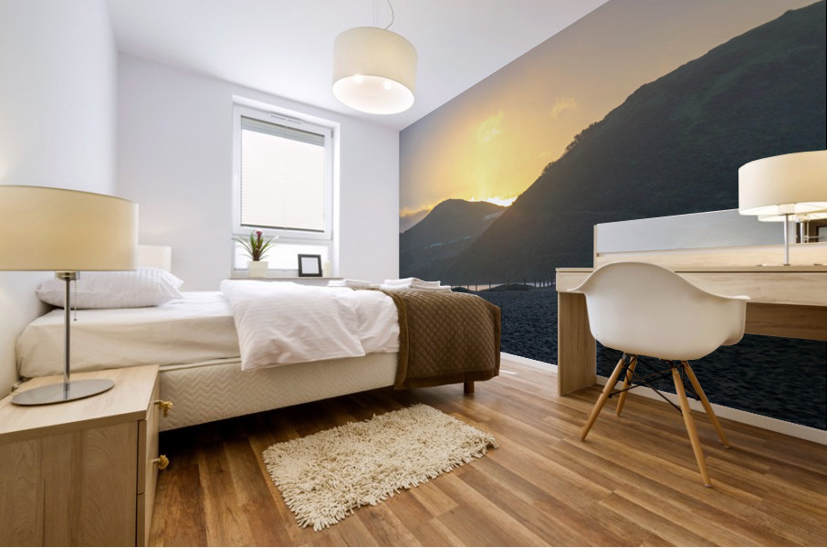 20200208 DSC 0305 Mural print