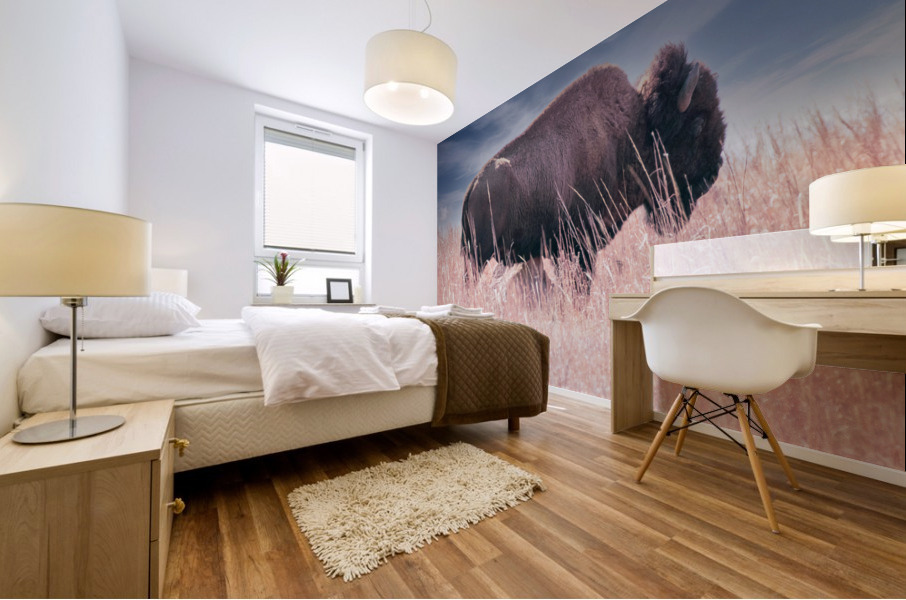 Belly Scratches Impression murale