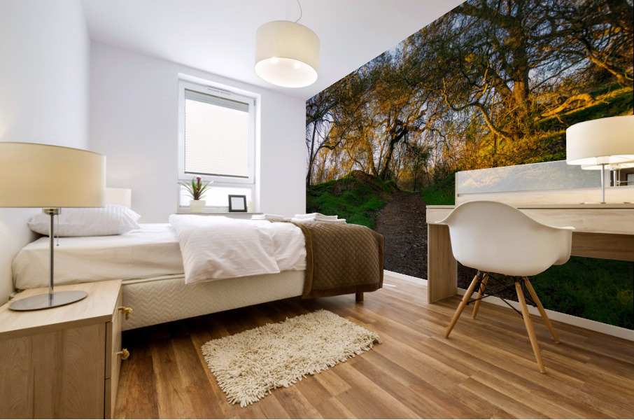 Up the Trail Mural print