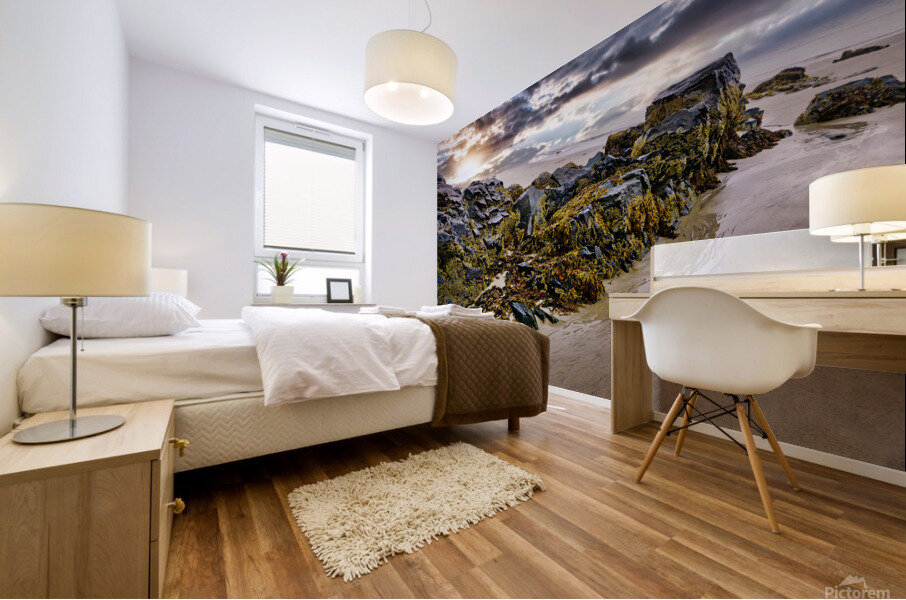 Rebirth of the Soul at Ogunquit Maine  Mural print