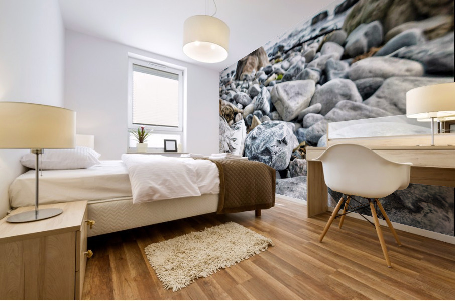 Rocky Shores Mural print