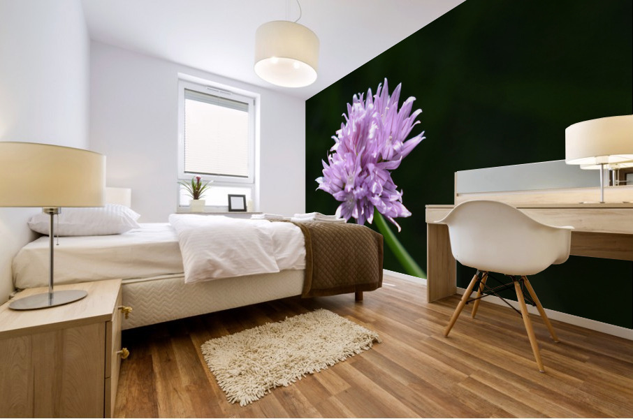 2BC7E26E 33D0 4A16 85B3 9CBF018D417E Mural print