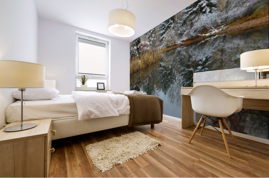 Fresh Snow and Pond Reflections Mural print