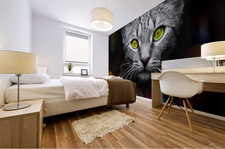 cat bokeh  Mural print