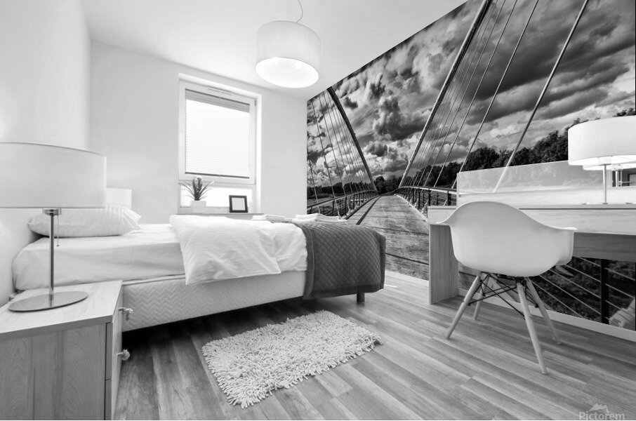 DSC 8097 20x30 Mural print