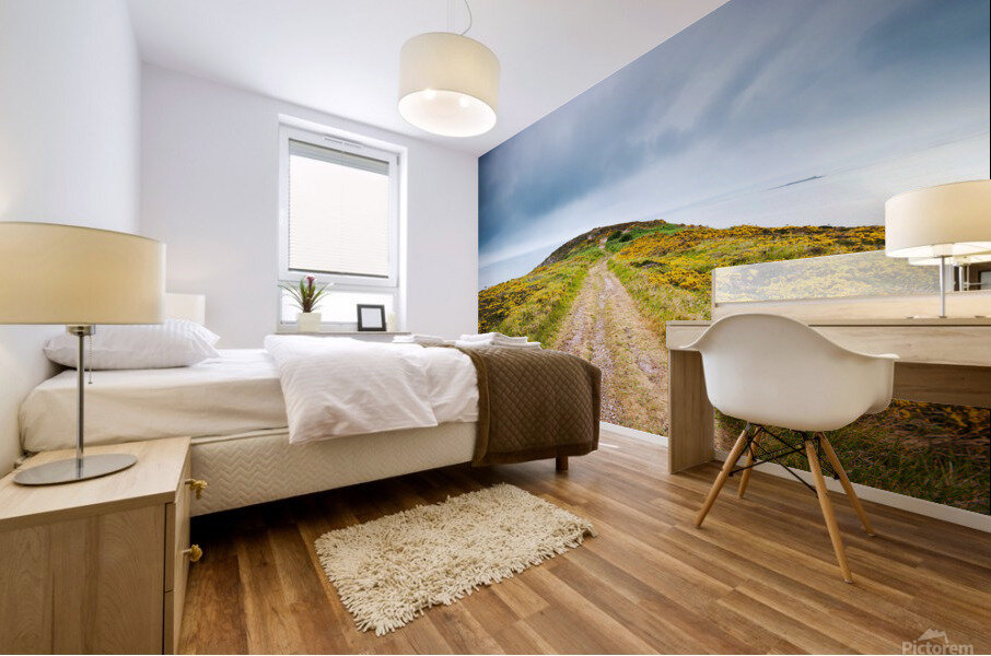 Empty path with yellow flowers Mural print