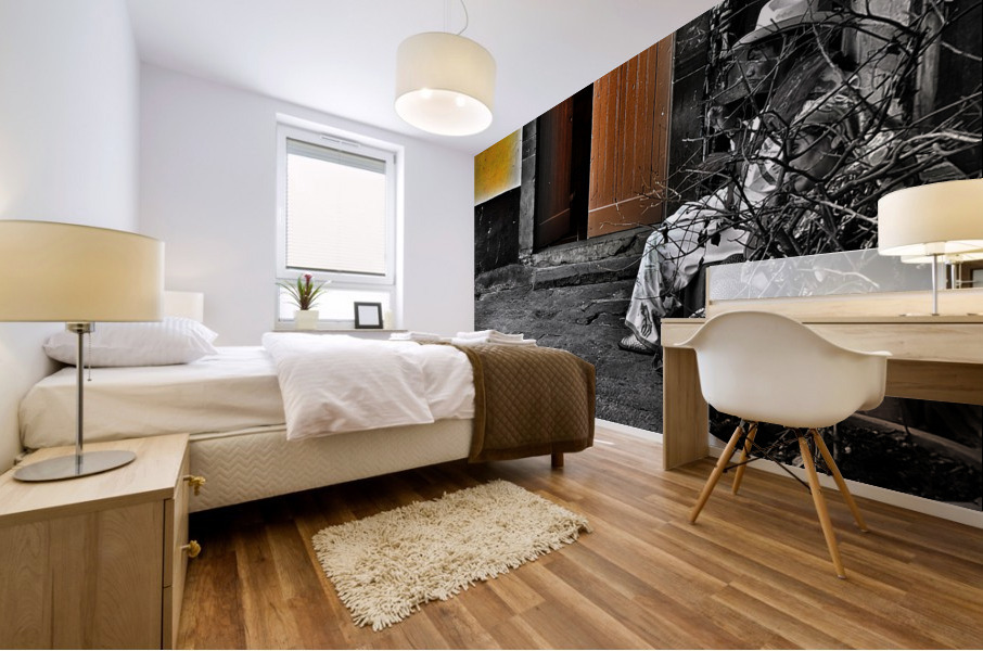 How good is your healthcare  Mural print