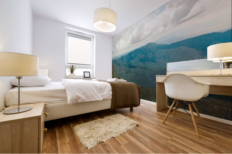 The Sandias A Panoramic View Mural print