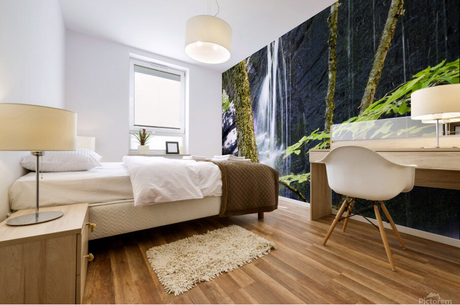 Bear Den Campground Waterfall VERTICAL Mural print