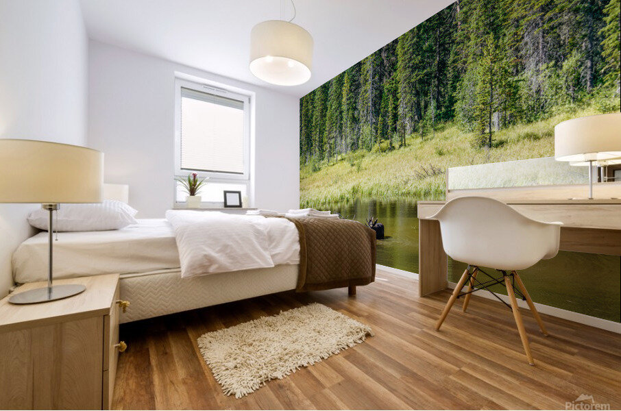 Summer Dip Mural print