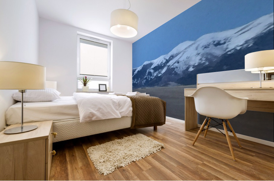 9B86A96C CBE0 4934 BA57 5571767FA435 Mural print