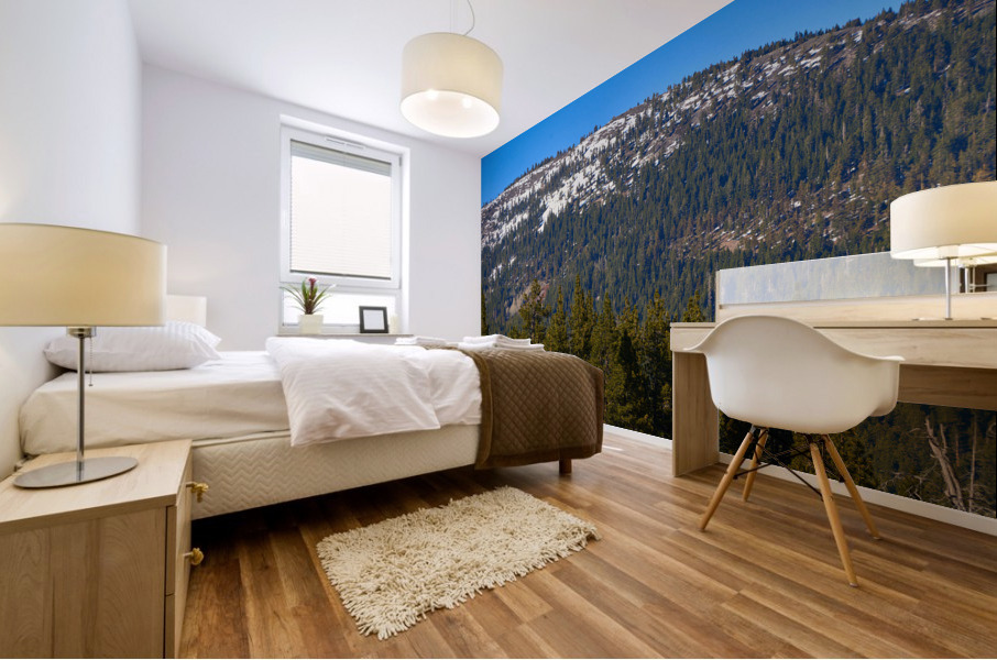 Snow Capped Mountain at Lake Tahoe CA 7R300695.jp Mural print