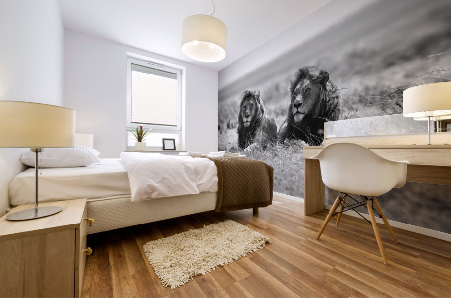 Two kings Mural print