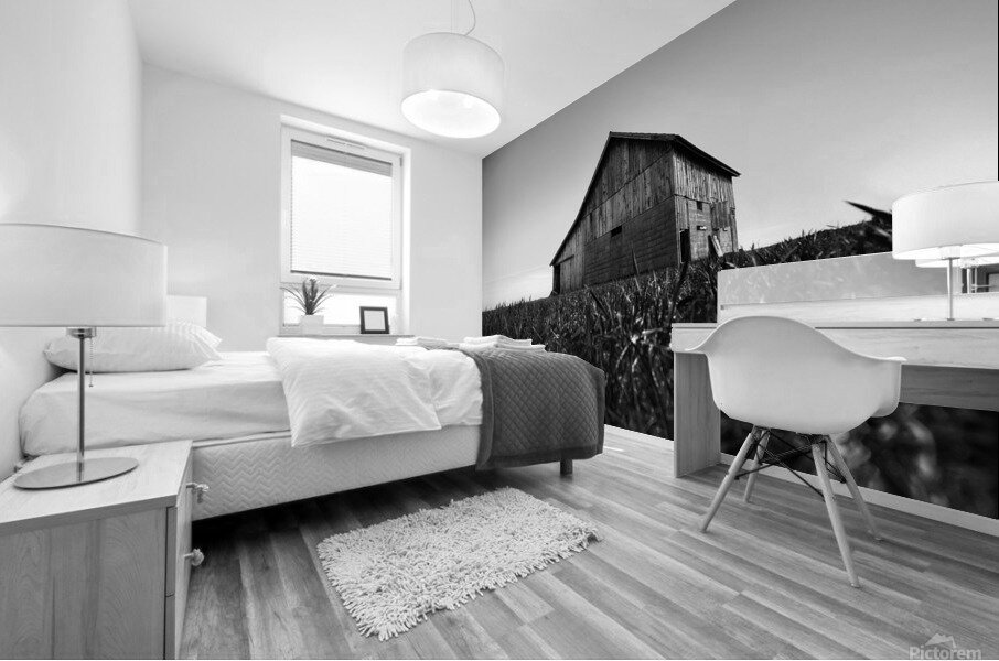 Country structure Mural print