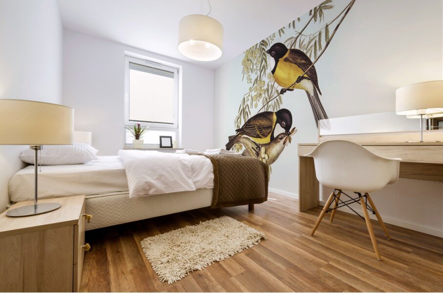 Blue Shining Flycatcher Piezorhynchus nitidus illustrated by Elizabeth Gould 1804–1841 for John Gould’s 1804-1881 Birds of Australia  Mural print