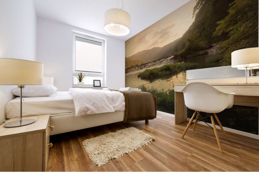 West Virginia New River Waterfalls at Dusk Mural print